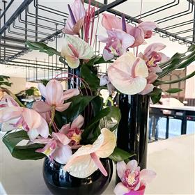 fwthumbHotel lobby flowers Anthuriums Cymbidiums Lilys Flowers Lightwater.jpg